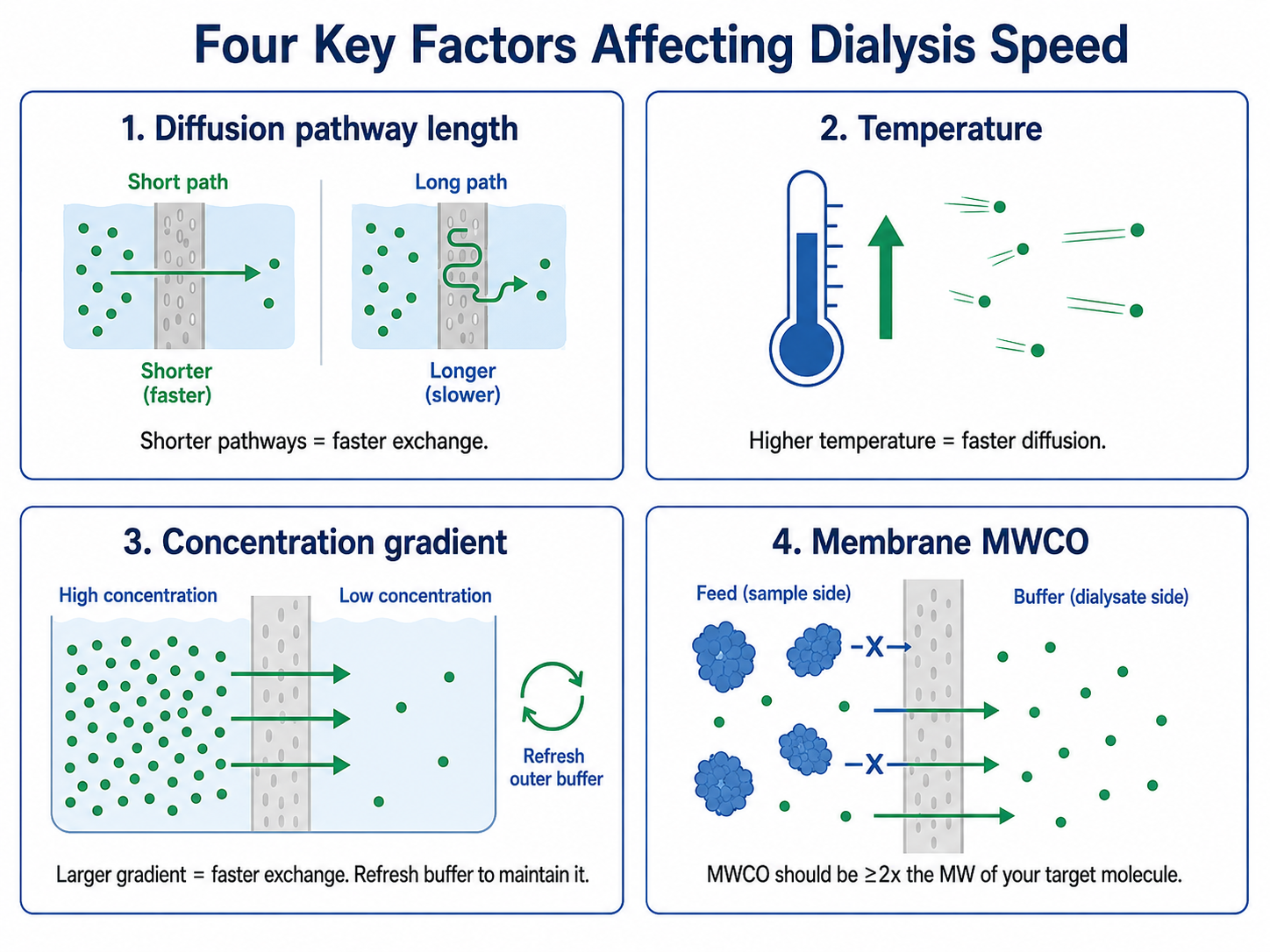 The four key factors affecting dialysis speed. Diffusion pathway length: shorter pathways give faster exchange. Temperature: higher temperature gives faster diffusion. Concentration gradient: a larger gradient gives faster exchange, and refreshing the outer buffer maintains it. Membrane MWCO: the cutoff should be at least twice the molecular weight of your target molecule so the target is retained while smaller molecules pass through.