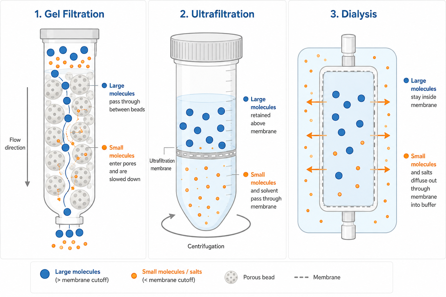 Comparison of three separation methods. Gel filtration separates molecules by size through a porous bead column, with large molecules passing between beads and small molecules slowed inside the pores. Ultrafiltration uses centrifugation to retain large molecules above a membrane while small molecules and solvent pass through. Dialysis lets small molecules and salts diffuse out through a membrane into the surrounding buffer while large molecules stay inside.